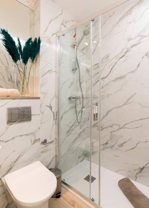 Plaza Cibeles Gran Viacolon Appartement